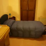 Da Ciacci Petriano